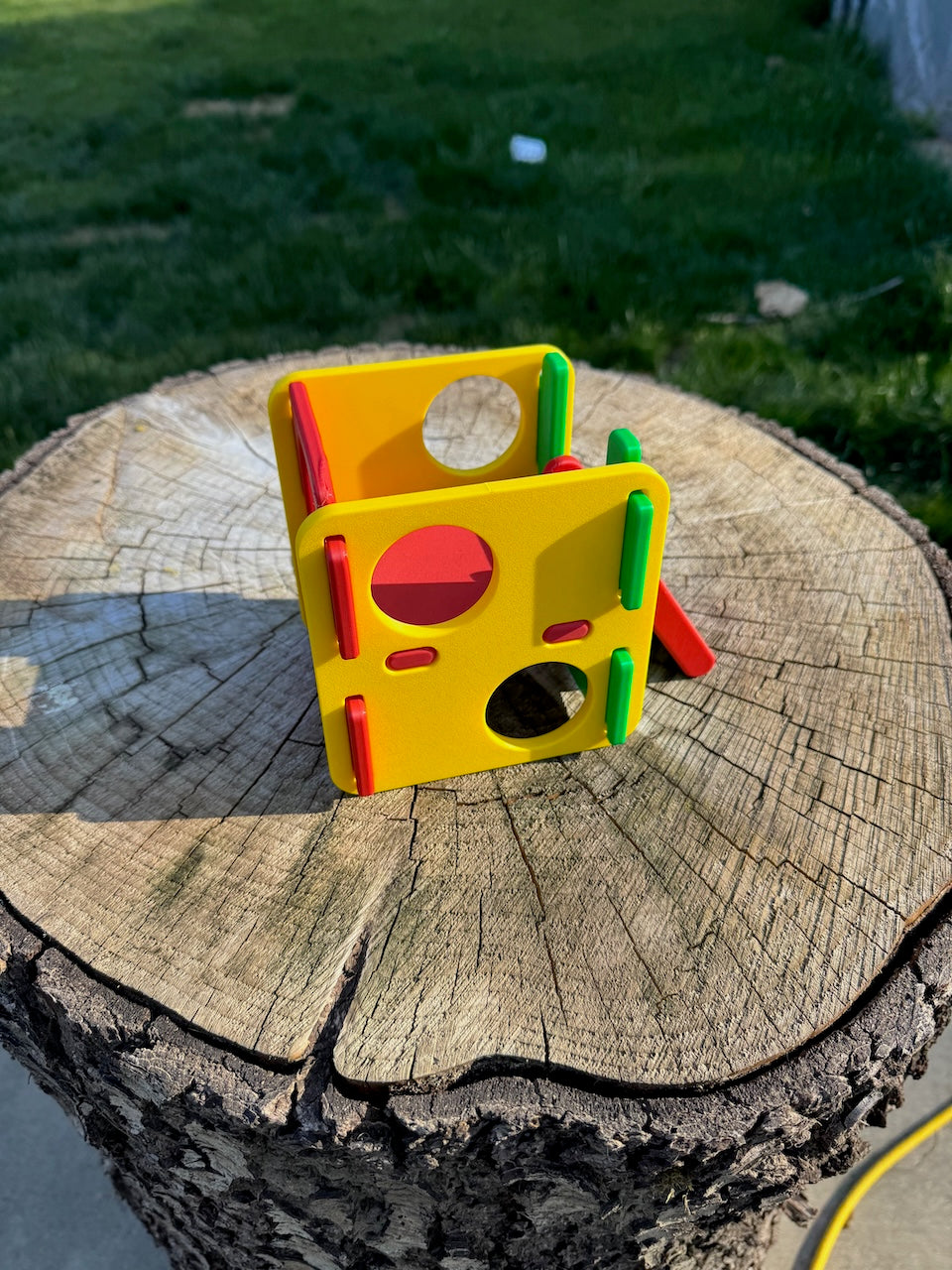 Cute Chick Activity Gym