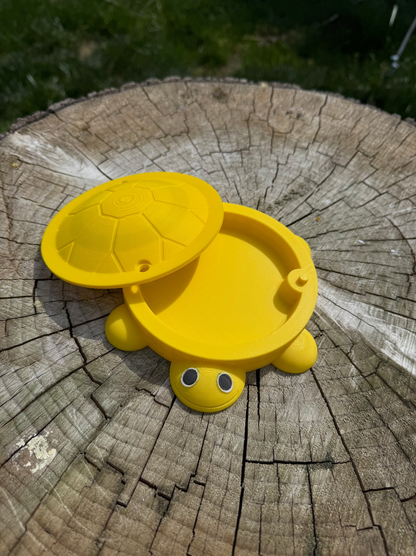 Turtle "Sandbox" for feeding Baby Poultry