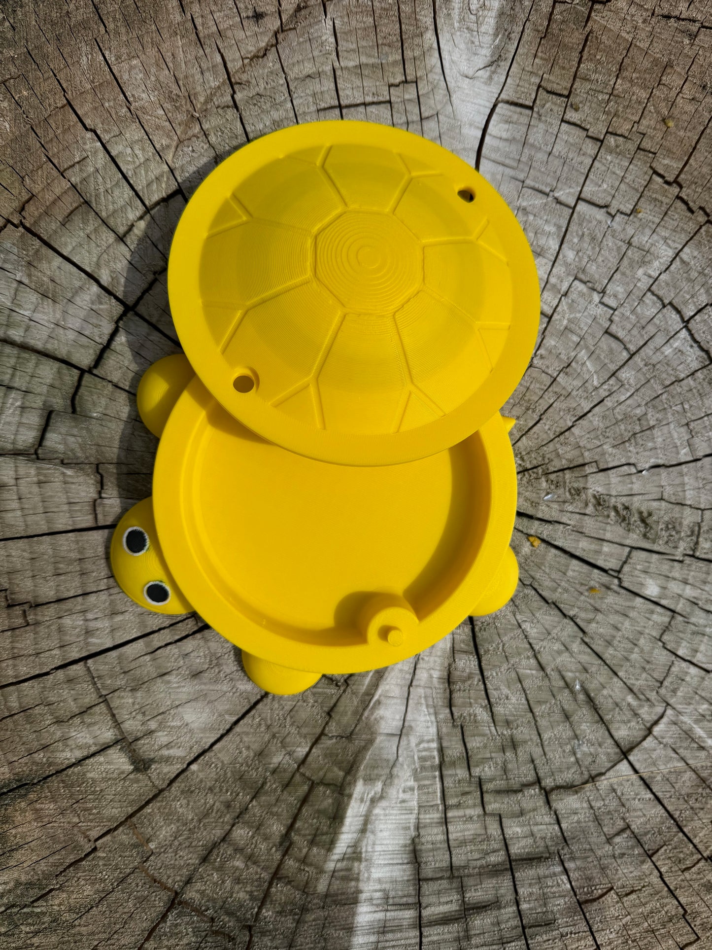 Turtle "Sandbox" for feeding Baby Poultry