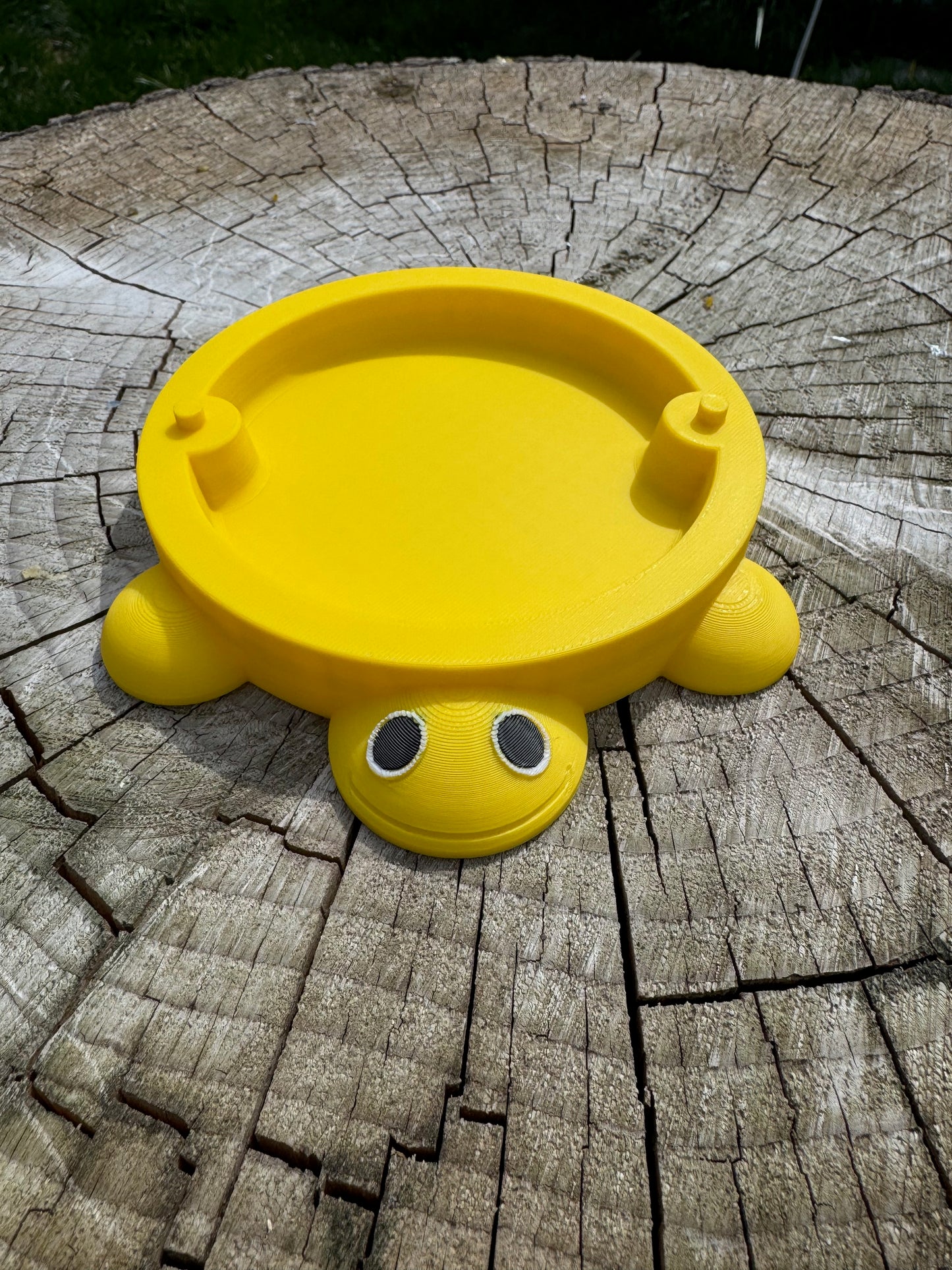 Turtle "Sandbox" for feeding Baby Poultry