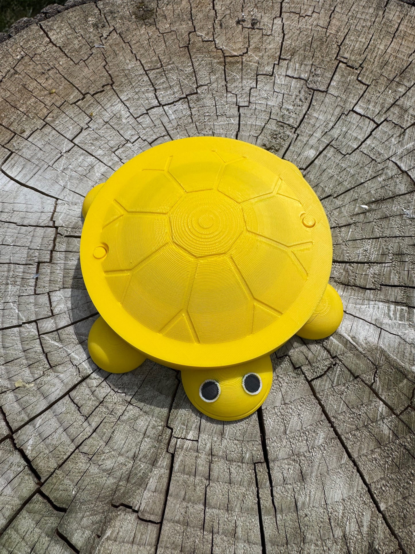 Turtle "Sandbox" for feeding Baby Poultry