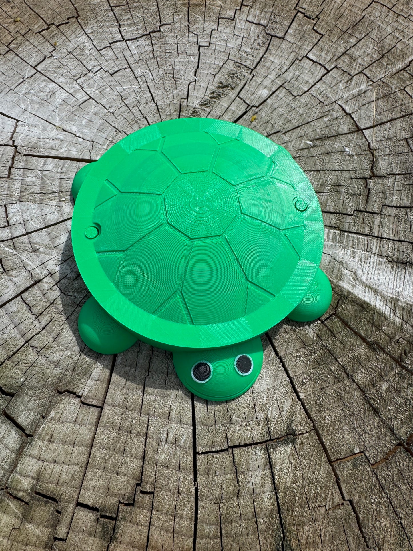 Turtle "Sandbox" for feeding Baby Poultry
