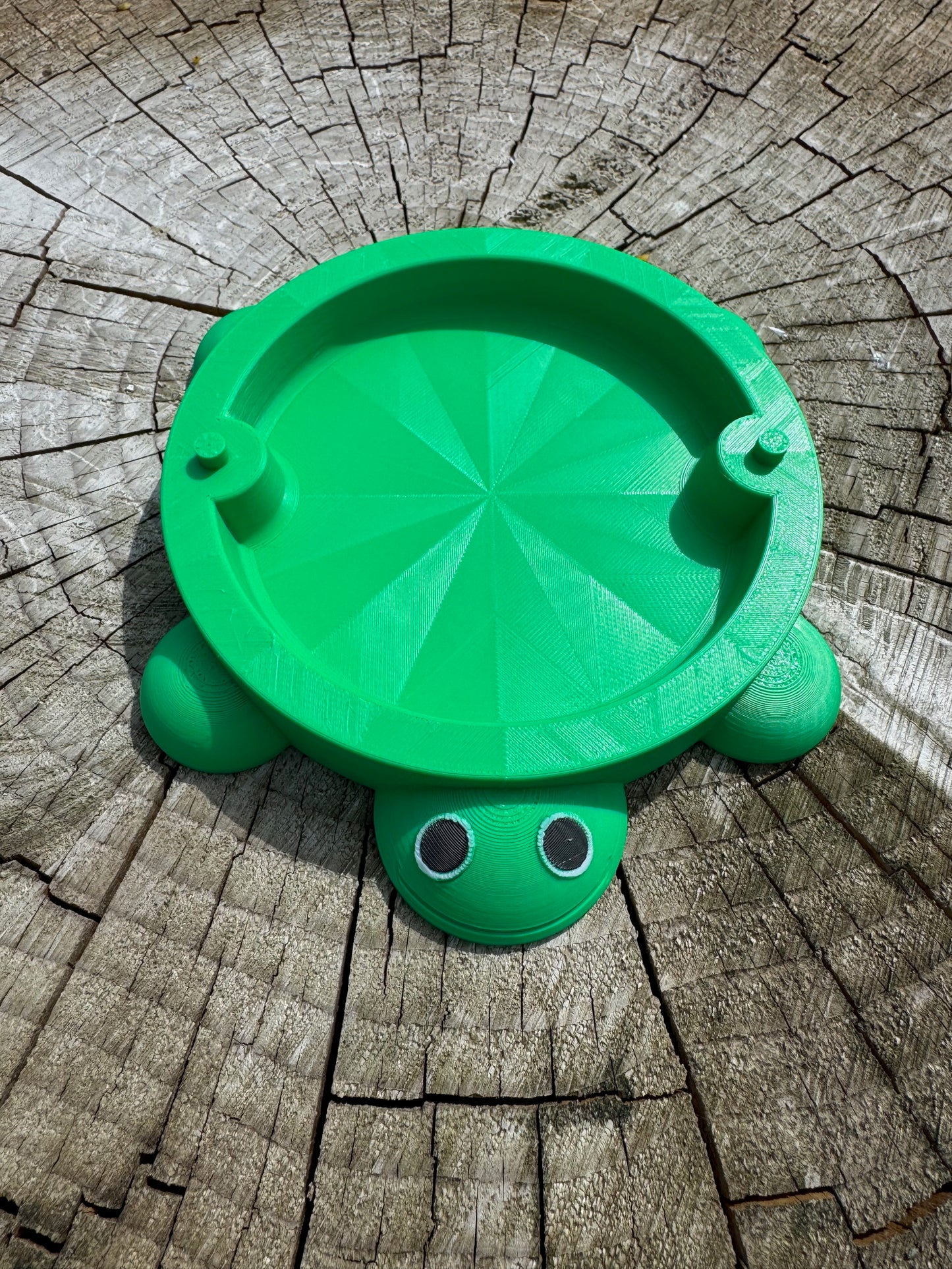 Turtle "Sandbox" for feeding Baby Poultry