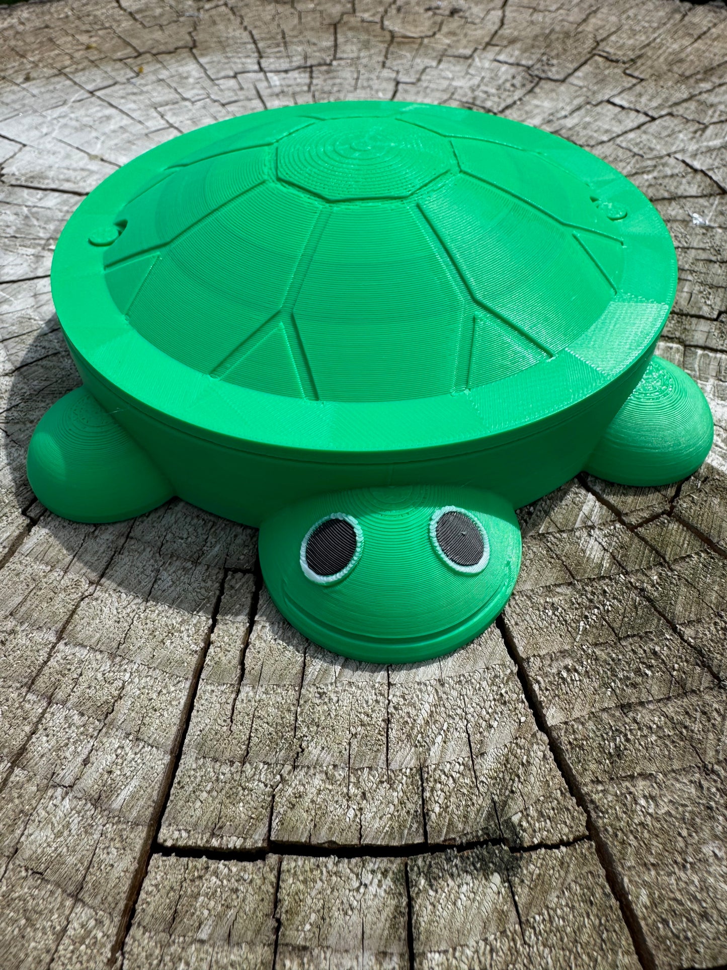 Turtle "Sandbox" for feeding Baby Poultry
